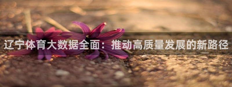 辽宁体育大数据全面：推动高质量发展的新路径