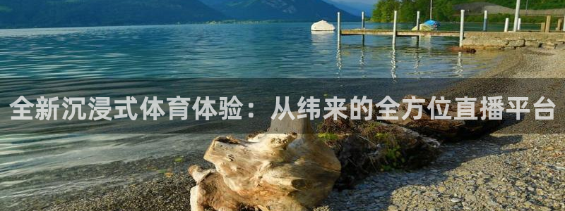 全新沉浸式体育体验：从纬来的全方位直播平台