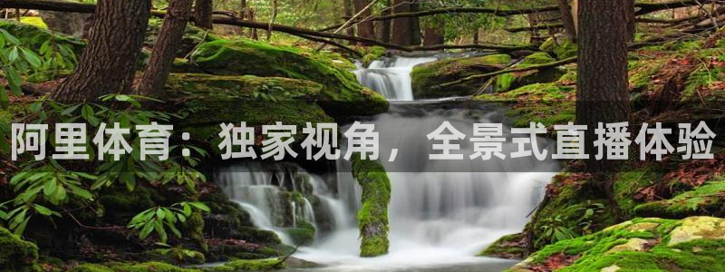 阿里体育：独家视角，全景式直播体验