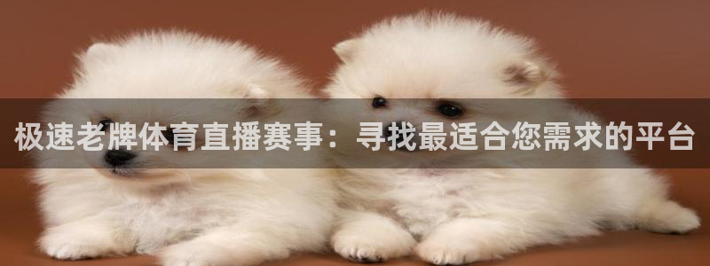 极速老牌体育直播赛事：寻找最适合您需求的平台