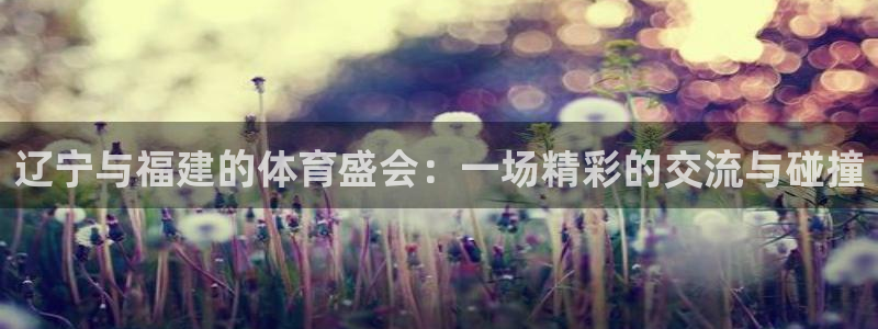 辽宁与福建的体育盛会：一场精彩的交流与碰撞