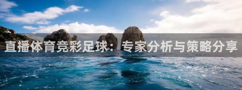 直播体育竞彩足球：专家分析与策略分享