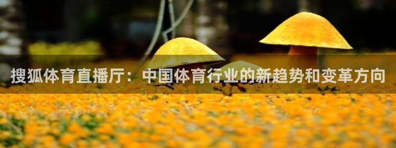 搜狐体育直播厅：中国体育行业的新趋势和变革方向
