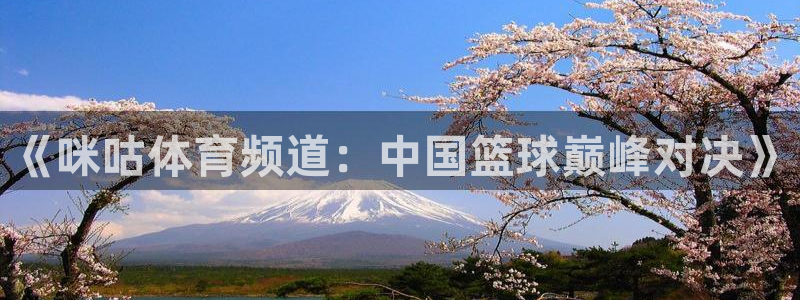 《咪咕体育频道：中国篮球巅峰对决》