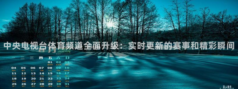 中央电视台体育频道全面升级：实时更新的赛事和精彩瞬间