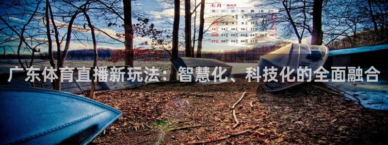 广东体育直播新玩法：智慧化、科技化的全面融合