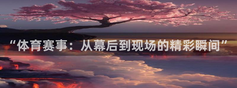 “体育赛事：从幕后到现场的精彩瞬间”