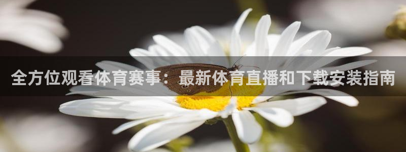 全方位观看体育赛事：最新体育直播和下载安装指南