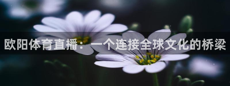 欧阳体育直播：一个连接全球文化的桥梁
