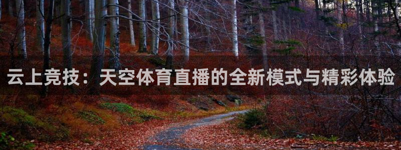 云上竞技：天空体育直播的全新模式与精彩体验