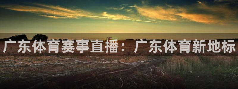 广东体育赛事直播：广东体育新地标