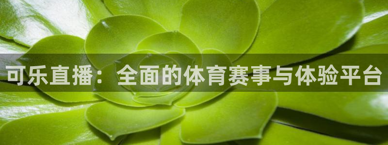 可乐直播：全面的体育赛事与体验平台
