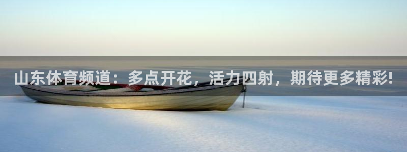 山东体育频道：多点开花，活力四射，期待更多精彩!