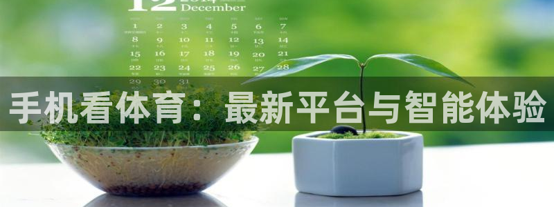 手机看体育：最新平台与智能体验