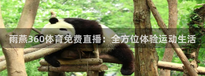 雨燕360体育免费直播：全方位体验运动生活