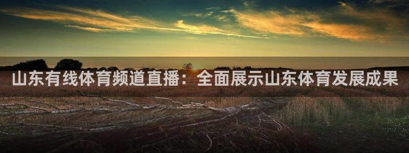 山东有线体育频道直播：全面展示山东体育发展成果