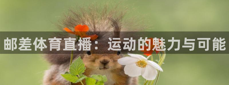 邮差体育直播：运动的魅力与可能