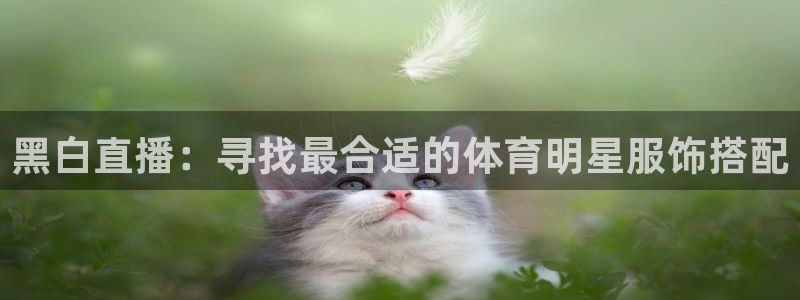 黑白直播：寻找最合适的体育明星服饰搭配