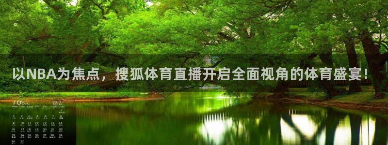 以NBA为焦点，搜狐体育直播开启全面视角的体育盛宴！