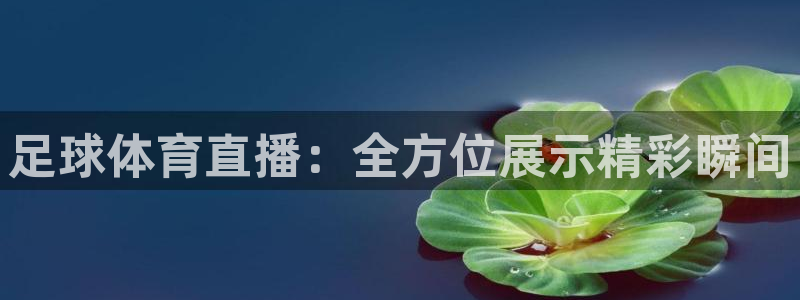 足球体育直播：全方位展示精彩瞬间