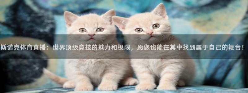 斯诺克体育直播：世界顶级竞技的魅力和极限，愿您也能在其中找到属于自己的舞台！