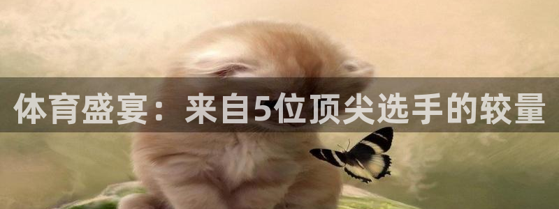 体育盛宴：来自5位顶尖选手的较量