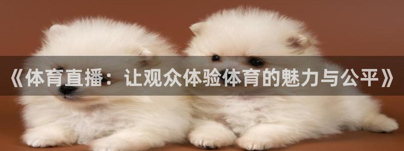 《体育直播：让观众体验体育的魅力与公平》