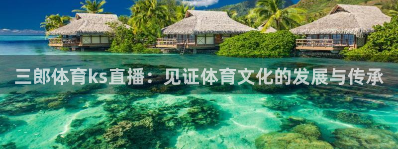 三郎体育ks直播：见证体育文化的发展与传承