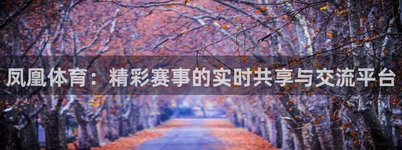 凤凰体育：精彩赛事的实时共享与交流平台