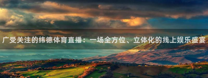 广受关注的纬德体育直播：一场全方位、立体化的线上娱乐盛宴