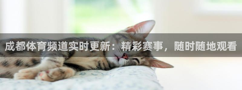 成都体育频道实时更新：精彩赛事，随时随地观看