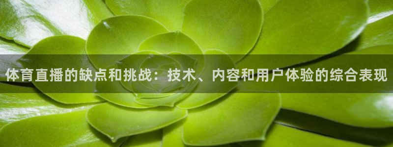 体育直播的缺点和挑战：技术、内容和用户体验的综合表现