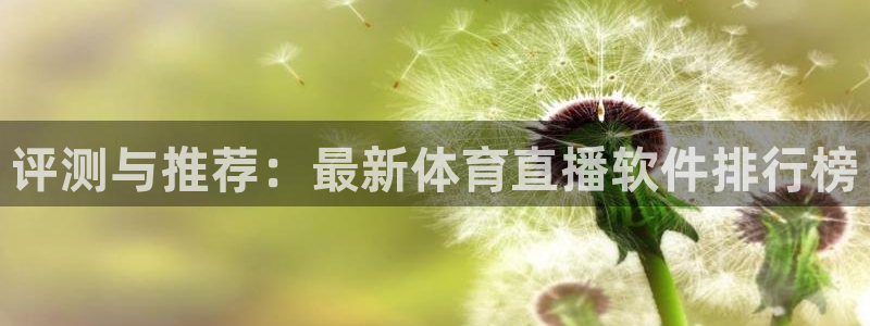 评测与推荐：最新体育直播软件排行榜