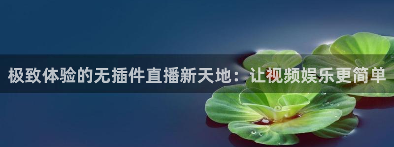 极致体验的无插件直播新天地：让视频娱乐更简单