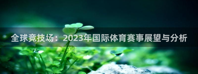 全球竞技场：2023年国际体育赛事展望与分析