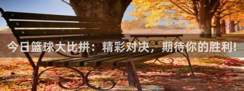今日篮球大比拼：精彩对决，期待你的胜利!