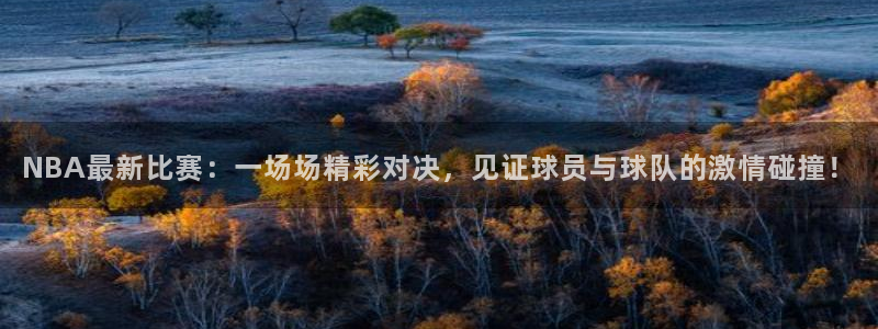 NBA最新比赛：一场场精彩对决，见证球员与球队的激情碰撞！