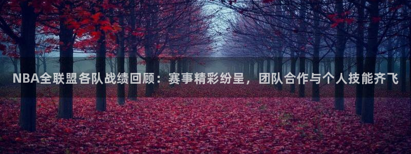 NBA全联盟各队战绩回顾：赛事精彩纷呈，团队合作与个人技能齐飞