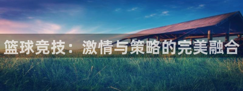 篮球竞技：激情与策略的完美融合