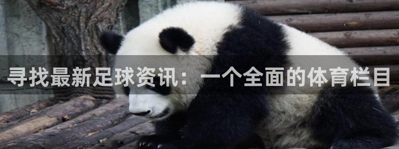 寻找最新足球资讯：一个全面的体育栏目