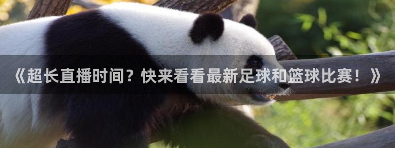 《超长直播时间？快来看看最新足球和篮球比赛！》