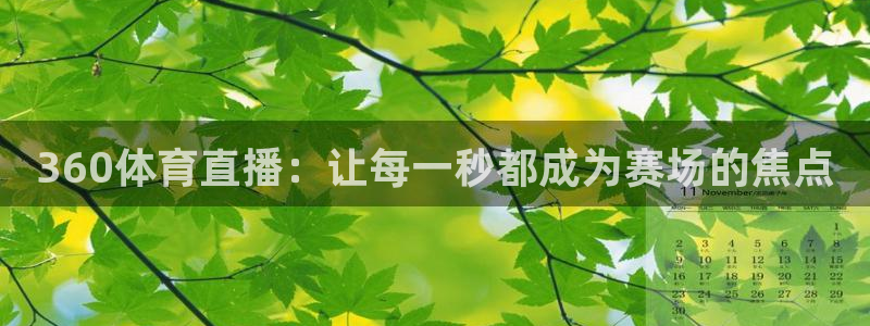 360体育直播：让每一秒都成为赛场的焦点