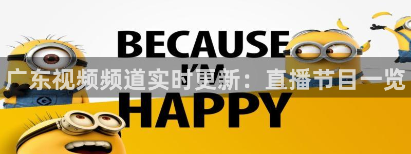 广东视频频道实时更新：直播节目一览
