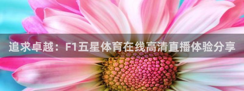 追求卓越：F1五星体育在线高清直播体验分享