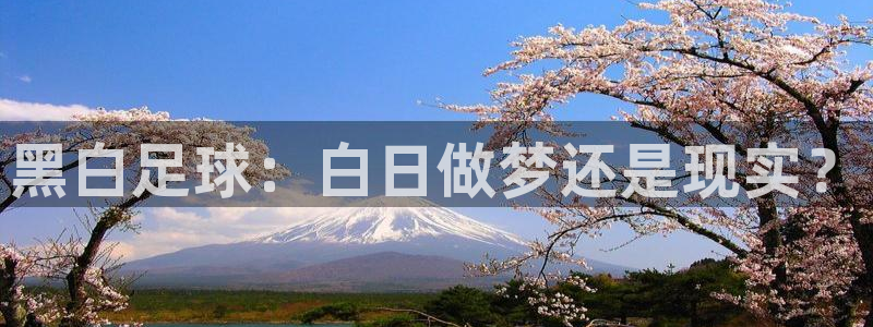 黑白足球：白日做梦还是现实？