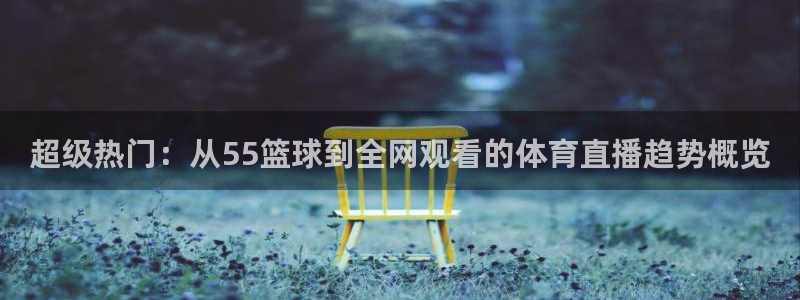 超级热门：从55篮球到全网观看的体育直播趋势概览