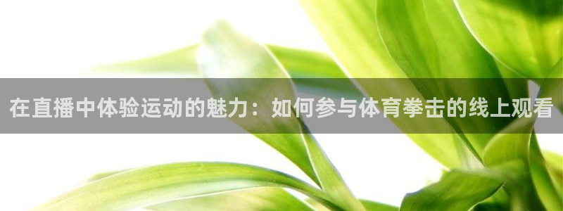 在直播中体验运动的魅力：如何参与体育拳击的线上观看