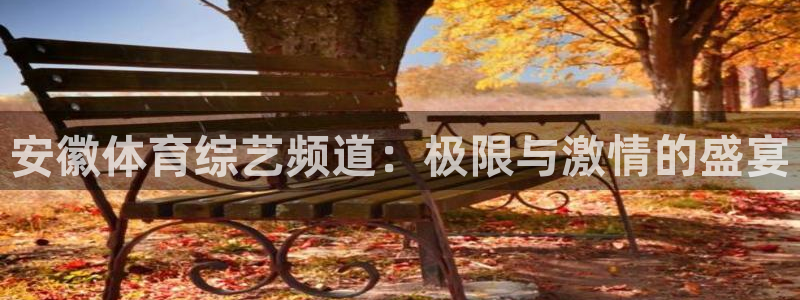 安徽体育综艺频道：极限与激情的盛宴