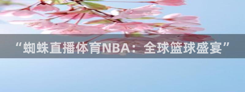 “蜘蛛直播体育NBA：全球篮球盛宴”