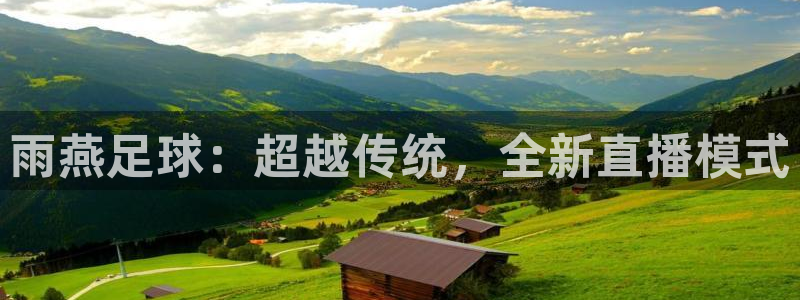 雨燕足球：超越传统，全新直播模式